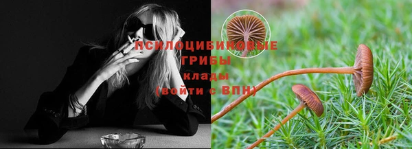 прущая мука Баксан