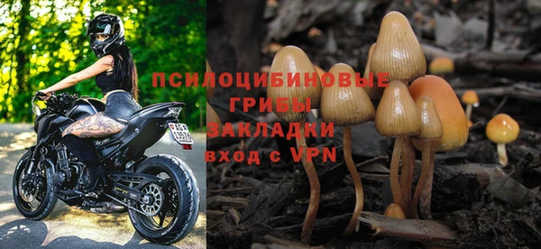 СК Балахна
