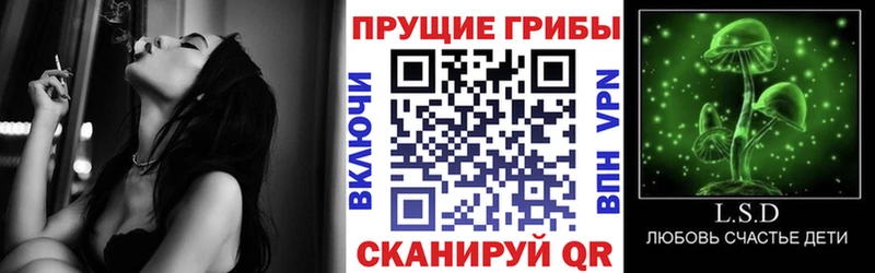 Галлюциногенные грибы мицелий маркетплейс клад Заринск